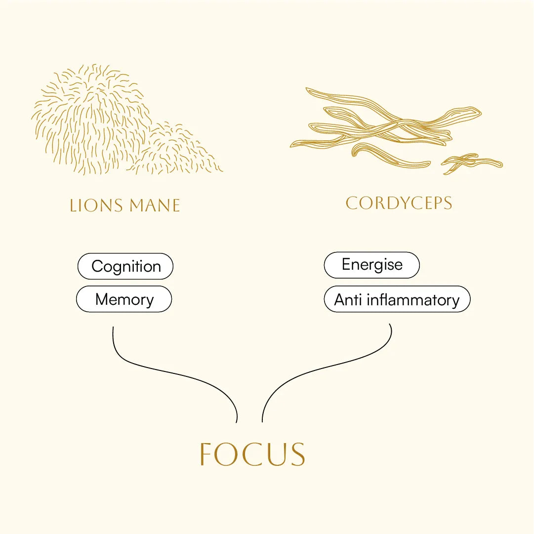 Focus Lion's Mane & Cordyceps Scandi Shrooms
