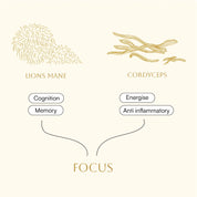 Focus Lion's Mane & Cordyceps Scandi Shrooms