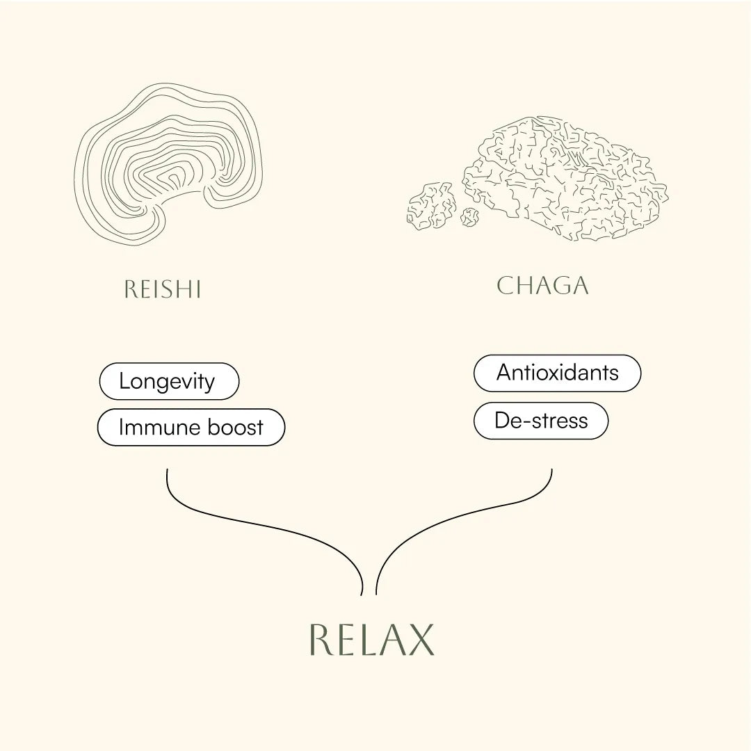 Relax Reishi & Chaga Scandi Shrooms