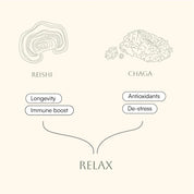 Relax Reishi & Chaga Scandi Shrooms