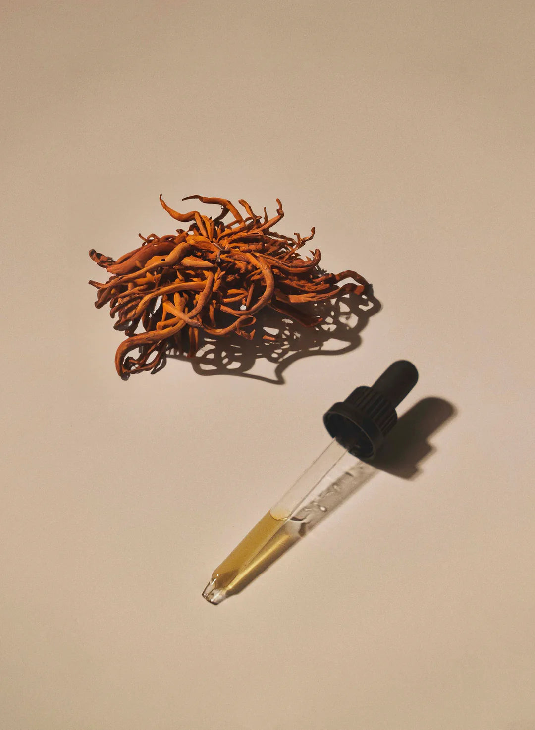 Mind Studio Cordyceps Tinktur