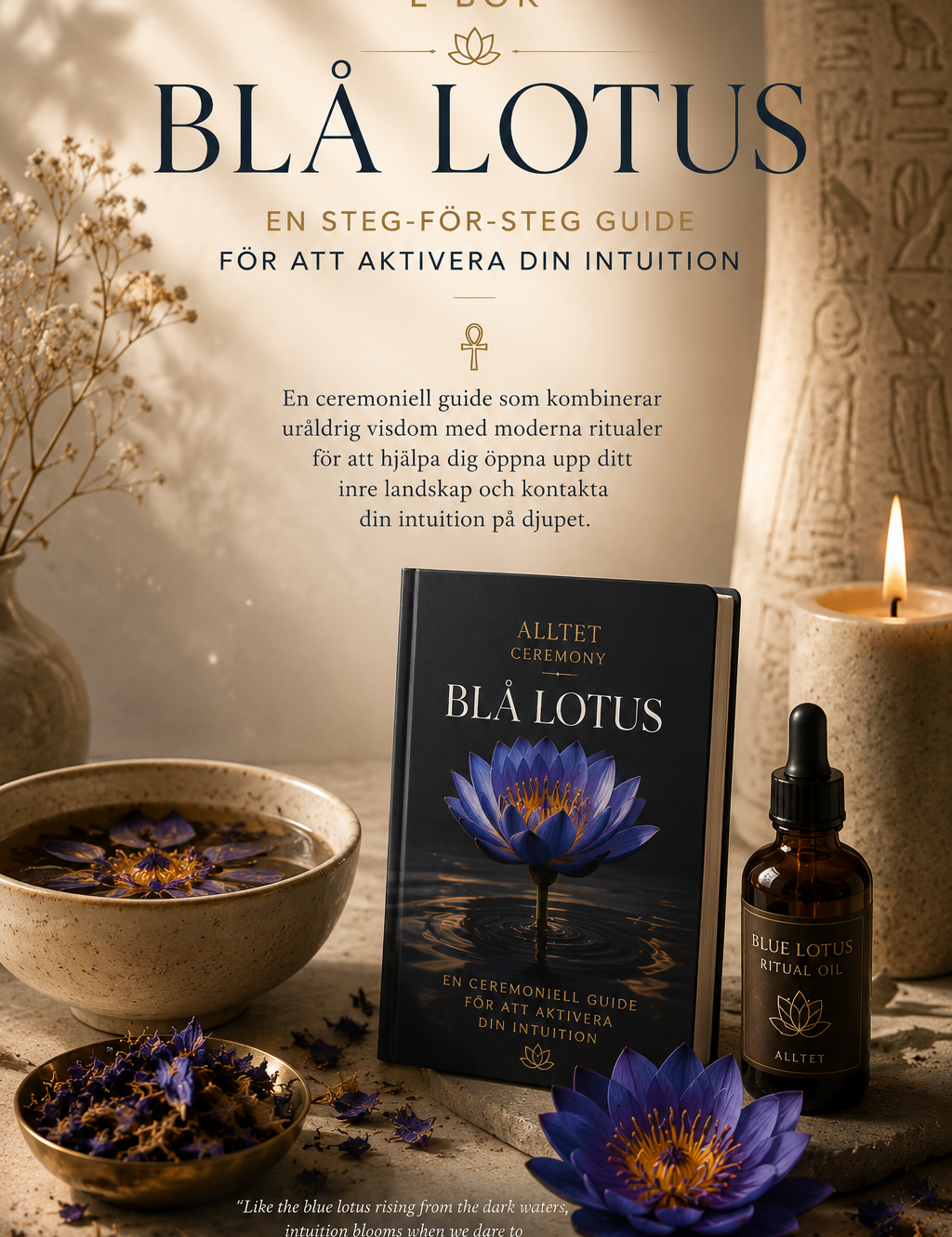 blalotuse-bok.png