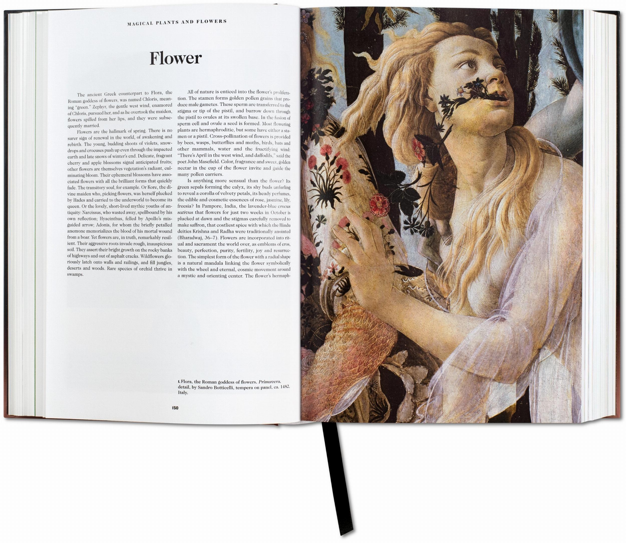 The Book of Symbols: Reflections on Archetypal Images