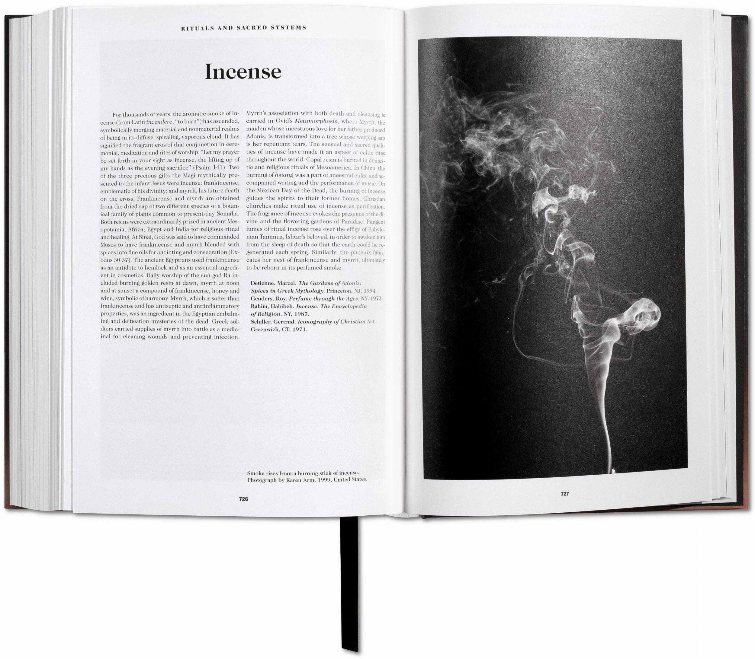 The Book of Symbols: Reflections on Archetypal Images