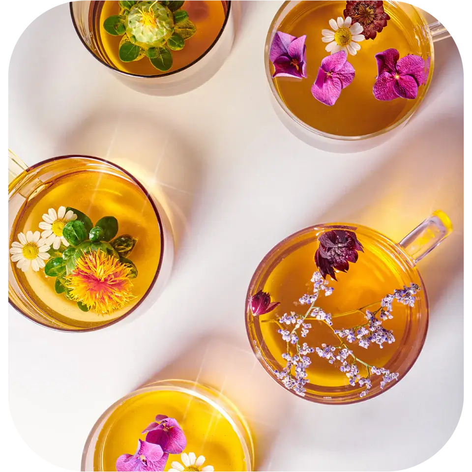 Radiance Tea Lemongrass, Hibiscus & Grapefruit Infusion