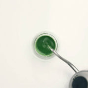 Matchaeologist - Meiko™ Ceremonial Matcha 20g