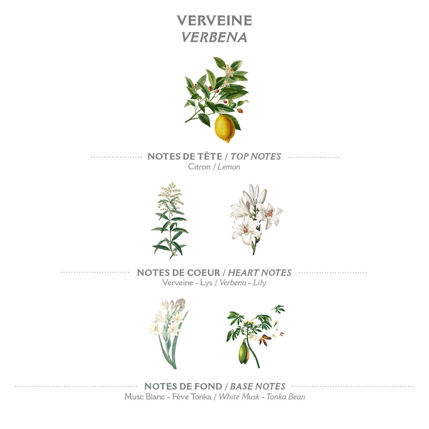 Panier Des Sens Handkräm 30 ml Verbena