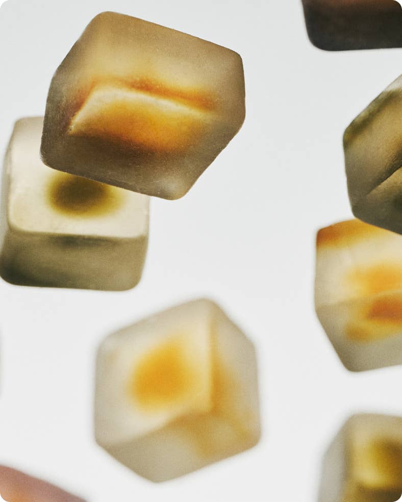 NOON FOCUS Mushroom Gummies