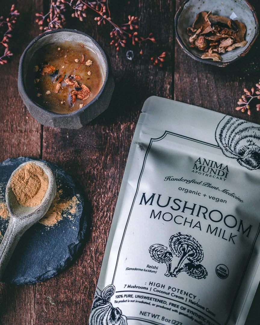 Anima Mundi Organic Mushroom Mocha Milk 227G