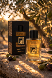 Panier Des Sans L'Olivier Eau de Parfum Rafraîchissant 50 ml