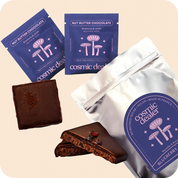 Wild Blueberry & Reishi Nut Butter Chocholate 20g